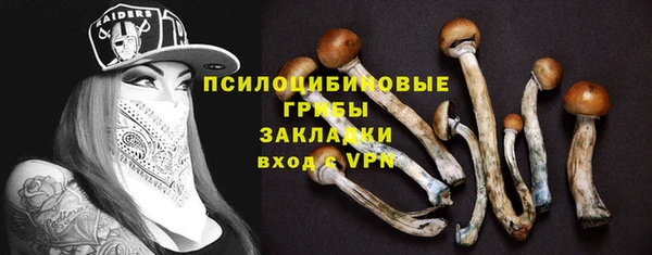 дурь Белокуриха