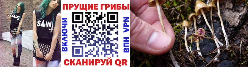 Галлюциногенные грибы GOLDEN TEACHER  Полесск 